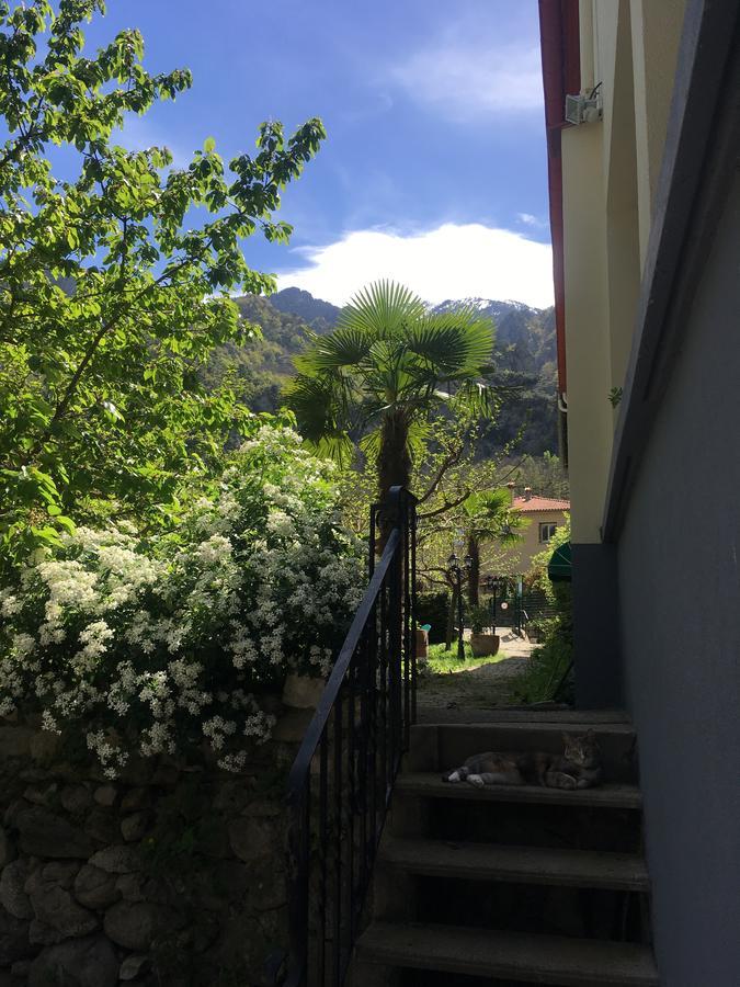 La Mirabelle-Casteil Country House Konuk evi Dış mekan fotoğraf