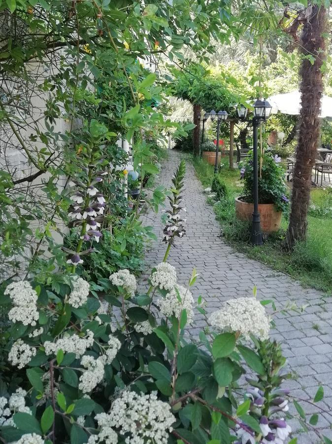 La Mirabelle-Casteil Country House Konuk evi Dış mekan fotoğraf