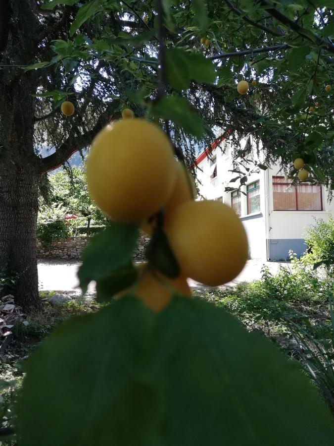 La Mirabelle-Casteil Country House Konuk evi Dış mekan fotoğraf