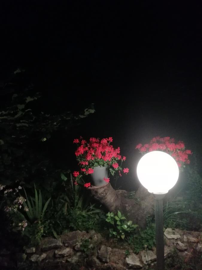 La Mirabelle-Casteil Country House Konuk evi Dış mekan fotoğraf