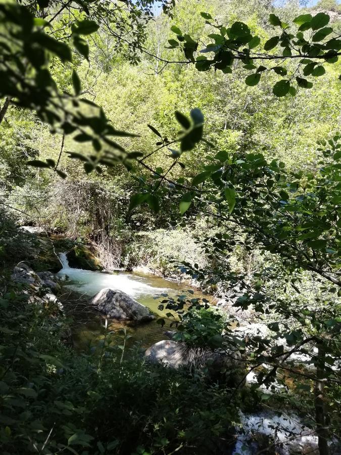 La Mirabelle-Casteil Country House Konuk evi Dış mekan fotoğraf