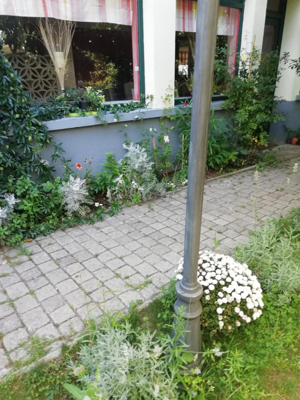 La Mirabelle-Casteil Country House Konuk evi Dış mekan fotoğraf